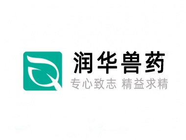关于ca88